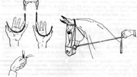 15 уроков верховой езды - i_012.jpg