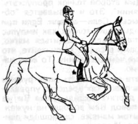 15 уроков верховой езды - i_014.jpg