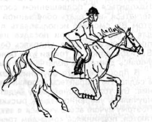 15 уроков верховой езды - i_015.jpg