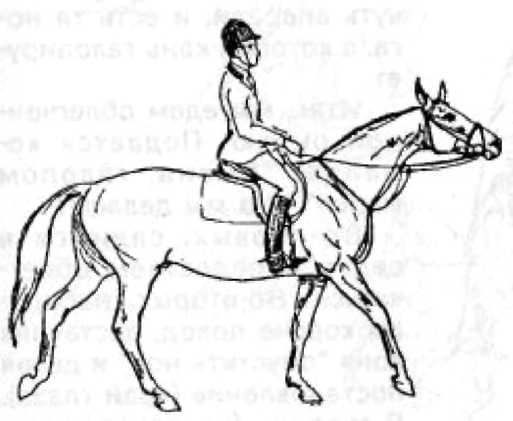 15 уроков верховой езды - i_016.jpg