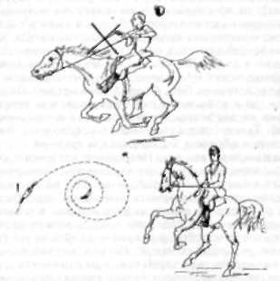 15 уроков верховой езды - i_019.jpg