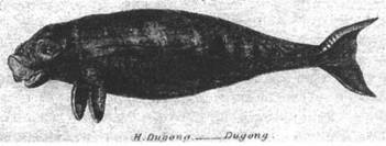 Мистерия Сириуса - i_081.jpg