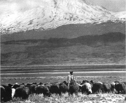 Мистерия Сириуса - i_105.jpg