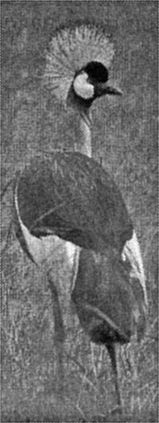 «… я восхищаюсь делами рук Твоих» - img_20.jpeg