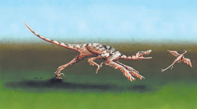 Газета Троицкий Вариант   44 (22_12_2009) - TAG_uploads_44N-24_jpg908007