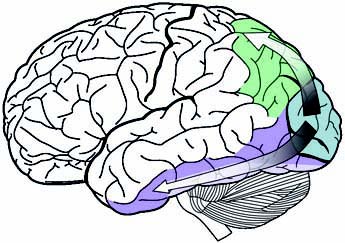 Газета Троицкий Вариант   44 (22_12_2009) - TAGhttp___trv-science_ru_uploads_44N-51_jpg136752