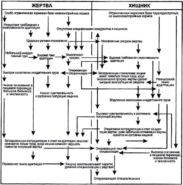 Газета Троицкий Вариант   43 (22_08_2009) - TAGhttp___trv-science_ru_uploads_43N-20_jpg42171