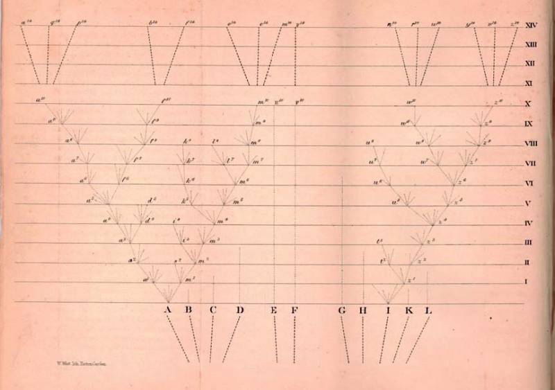 Газета Троицкий Вариант   42 (24_11_2009) - TAGhttp___trv-science_ru_uploads_42N-261_jpg331884