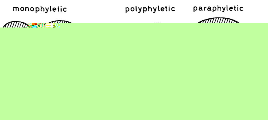 Газета Троицкий Вариант   42 (24_11_2009) - TAGhttp___trv-science_ru_uploads_42N-271_jpg524545