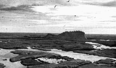 Родина белых медведей - i_021.jpg