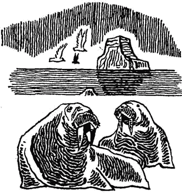 Родина белых медведей - i_059.png