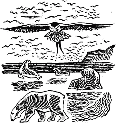 Родина белых медведей - i_062.png