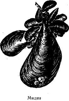 Волны над нами - i_008.jpg