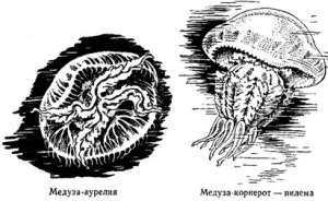 Волны над нами - i_019.jpg