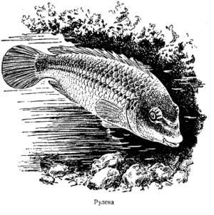 Волны над нами - i_022.jpg