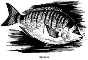 Волны над нами - i_030.jpg