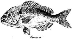 Волны над нами - i_031.jpg