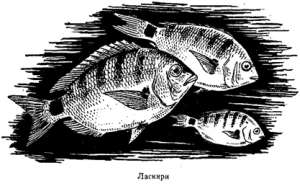 Волны над нами - i_032.jpg