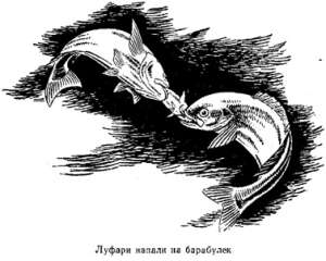 Волны над нами - i_040.jpg