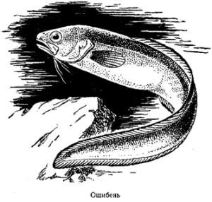 Волны над нами - i_047.jpg