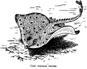 Волны над нами - i_049.jpg