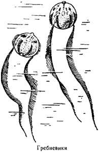 Волны над нами - i_052.jpg