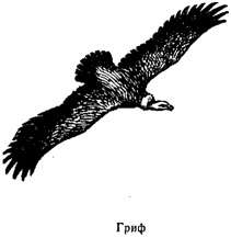 Волны над нами - i_053.jpg