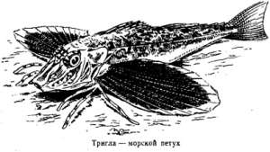 Волны над нами - i_056.jpg