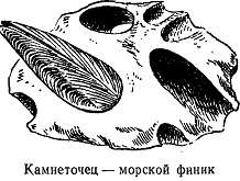 Волны над нами - i_058.jpg