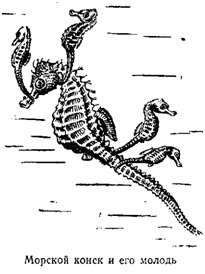 Волны над нами - i_061.jpg