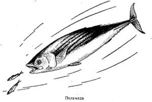 Волны над нами - i_077.jpg