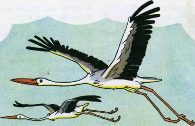 Сто приключений Барвинка и Ромашки - doc2fb_image_02000010.jpg