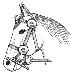 Кельты. Воины и маги - i_007.png