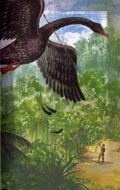 Сын парижанина - i_003.jpg