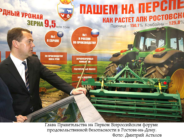 Новая реальность: Россия и глобальные вызовы - medved02.jpg