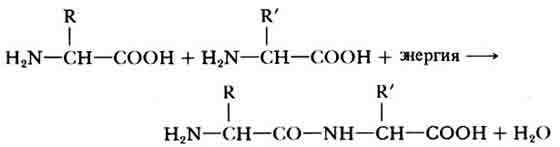 Поиски жизни в Солнечной системе - _8.jpg