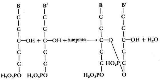 Поиски жизни в Солнечной системе - _9.jpg