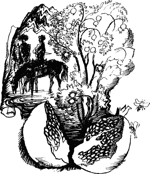 Занимательно о фитогеографии - i_008.png