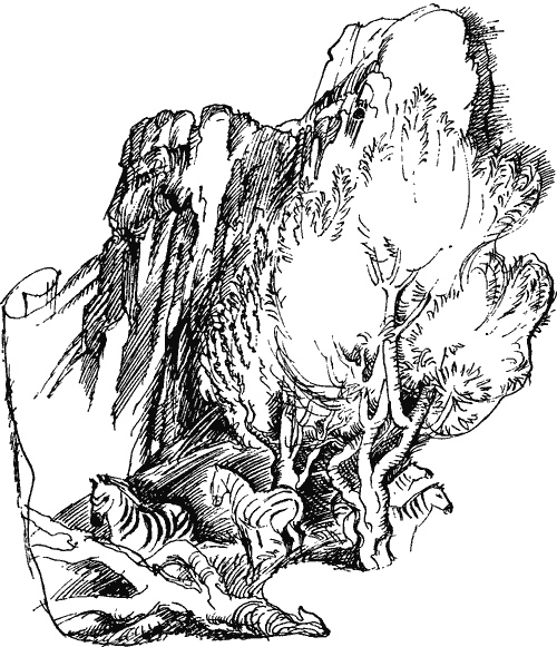 Занимательно о фитогеографии - i_023.png