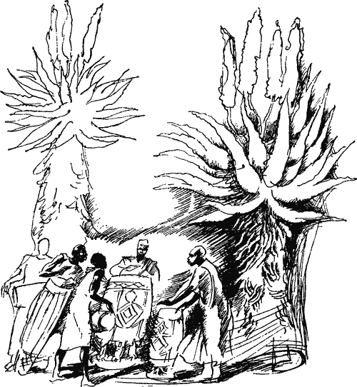 Занимательно о фитогеографии - i_024.png