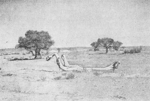 Загадки пустыни Гоби - i_004.jpg