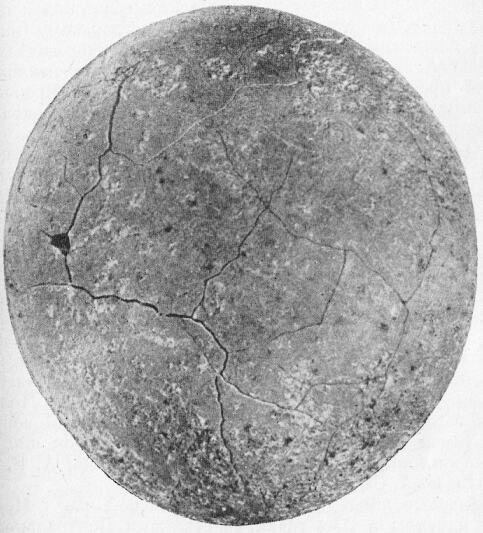 Загадки пустыни Гоби - i_019.jpg