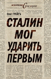 Сталин мог ударить первым - автор Грейгъ Олег 