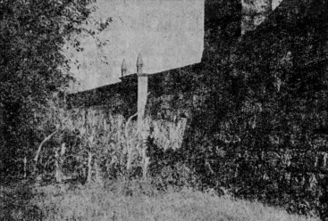 Колесницы в пустыне - image1.png