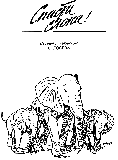 Спасти слона! - i_003.png