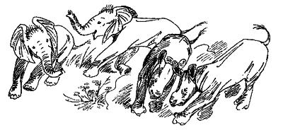 Спасти слона! - i_025.png