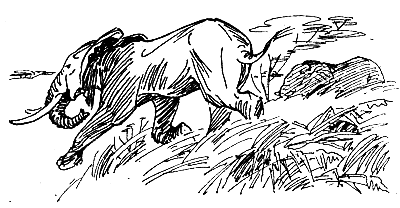 Спасти слона! - i_032.png