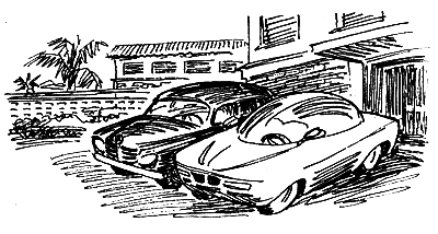 Спасти слона! - i_040.png