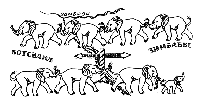 Спасти слона! - i_052.png