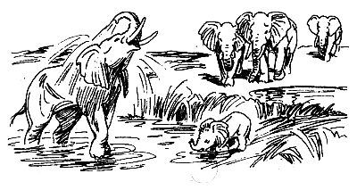 Спасти слона! - i_054.png